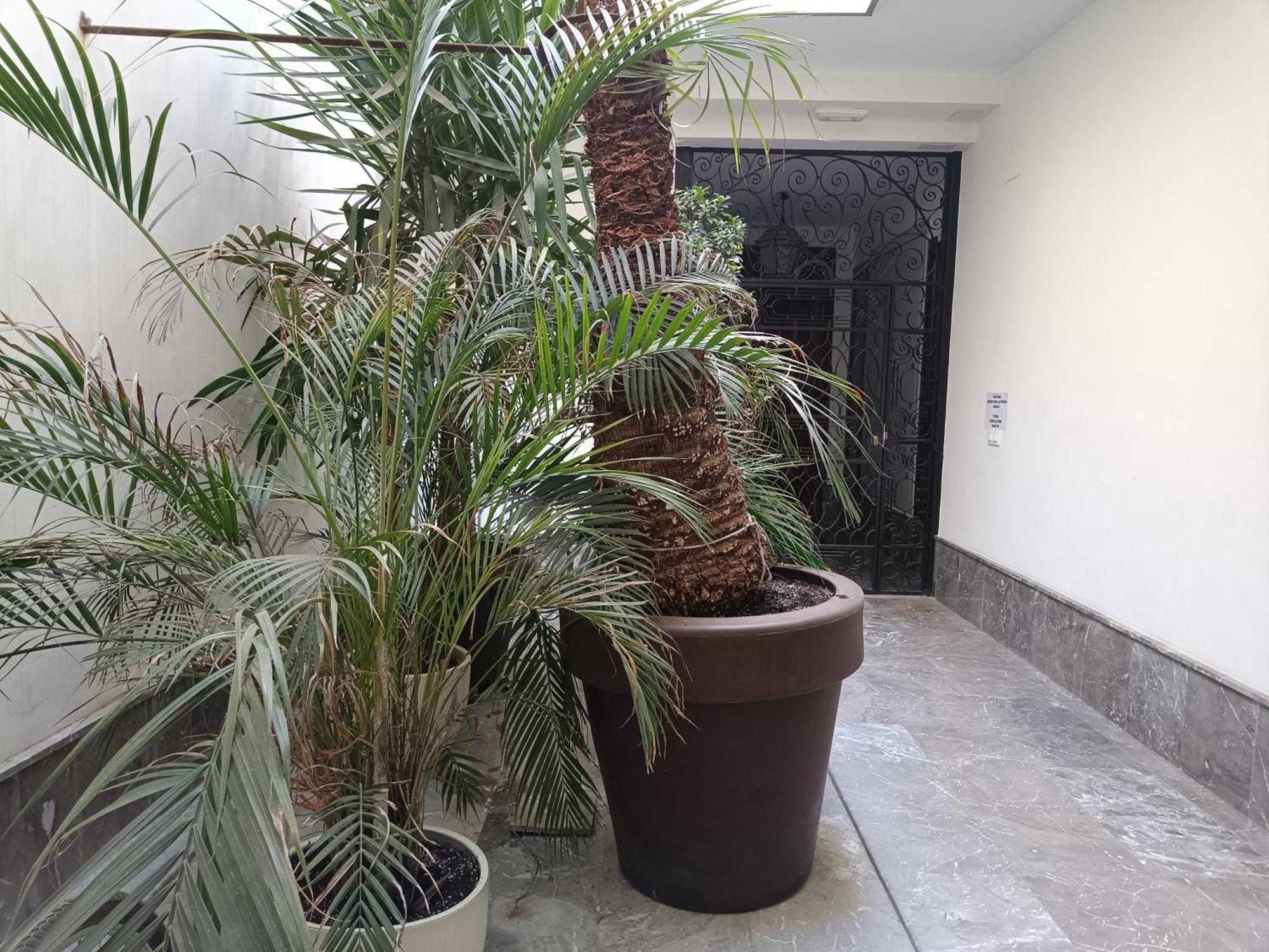 Apartamentos Luxury Puente de Triana Sevilha Exterior foto