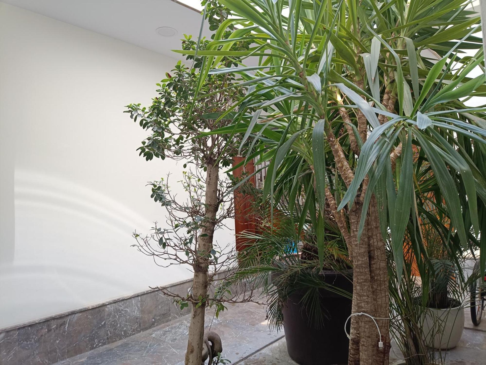 Apartamentos Luxury Puente de Triana Sevilha Exterior foto